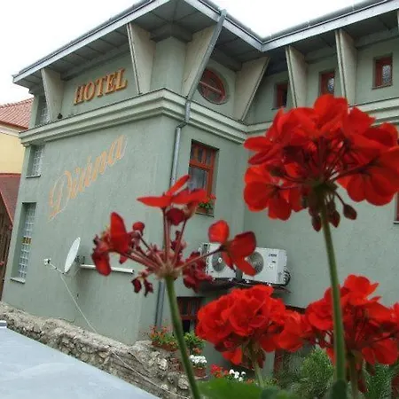 Hotel Diana Pecs