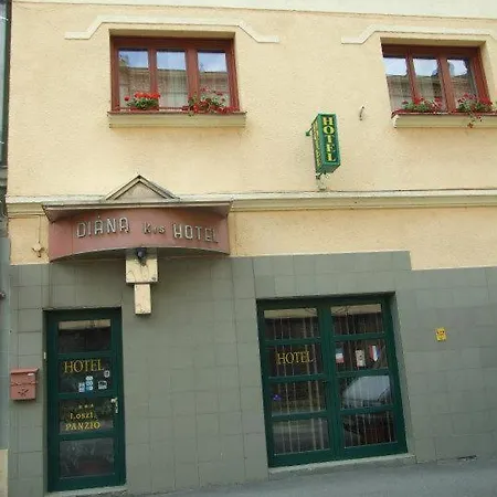 Hotel Diana 3*